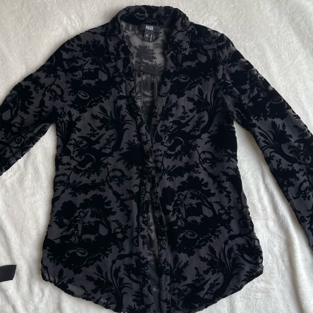 Page Sheer/ Velvet Button Down